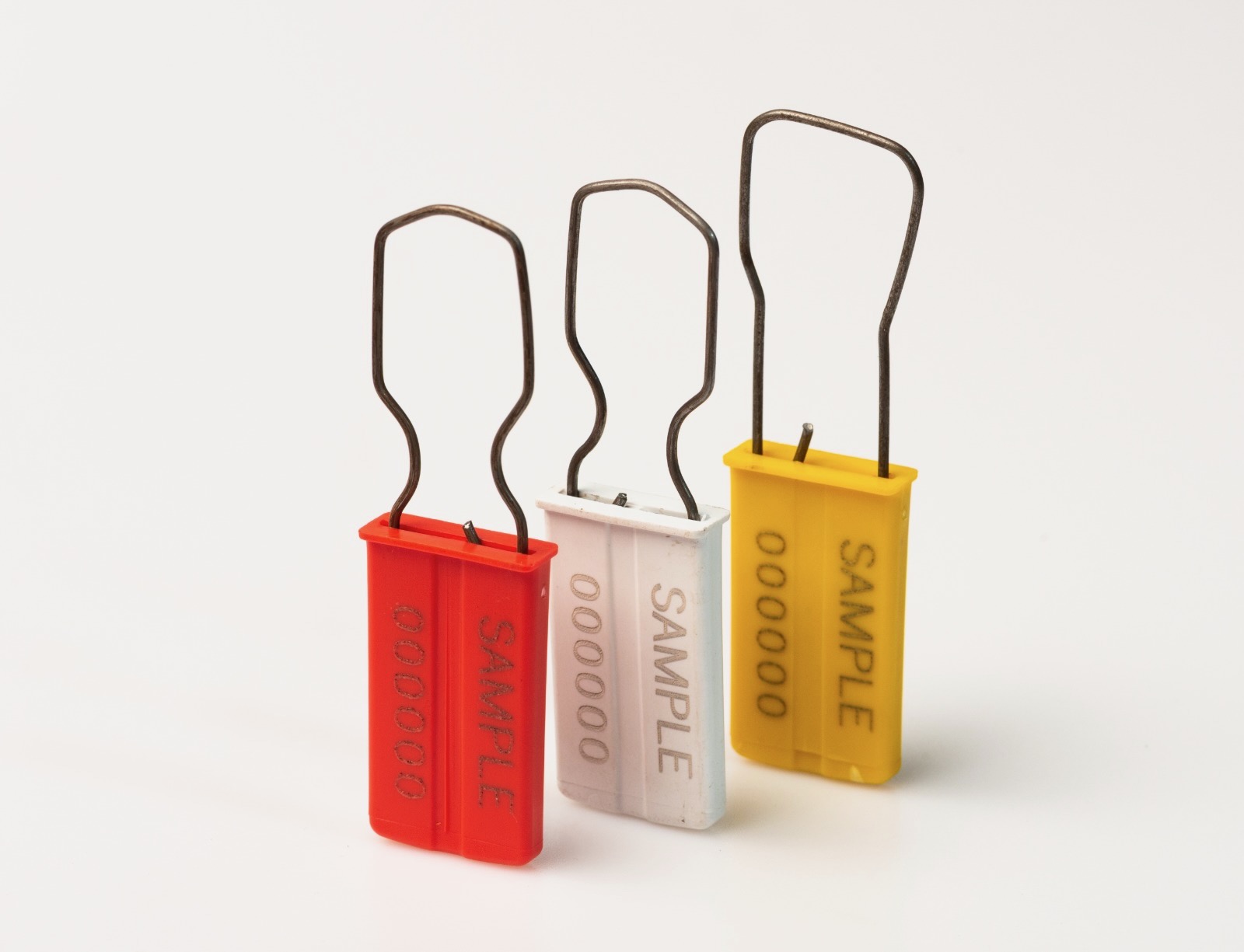 Padlock Seal